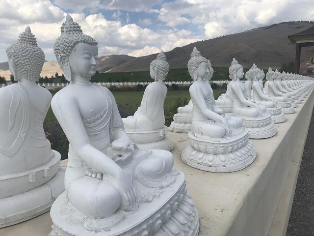 Garden of One Thousand Buddhas